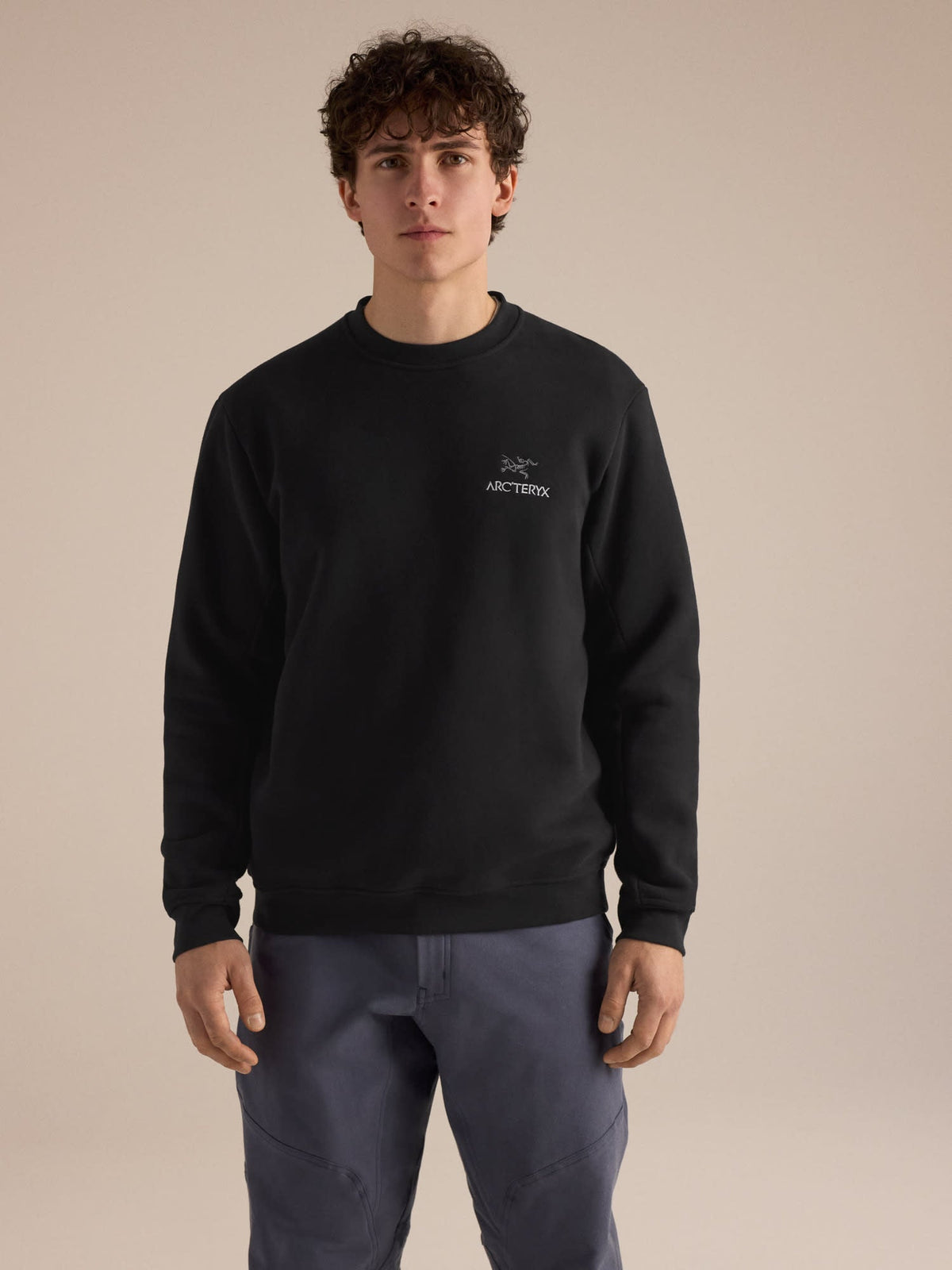 Emblem Fleece Crew Neck Pullover Men's