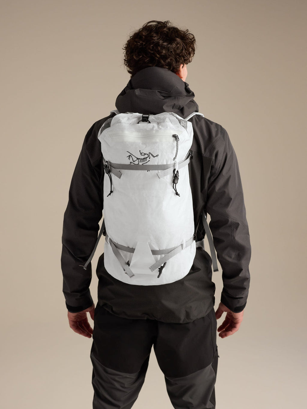 Alpha SL 30 Backpack
