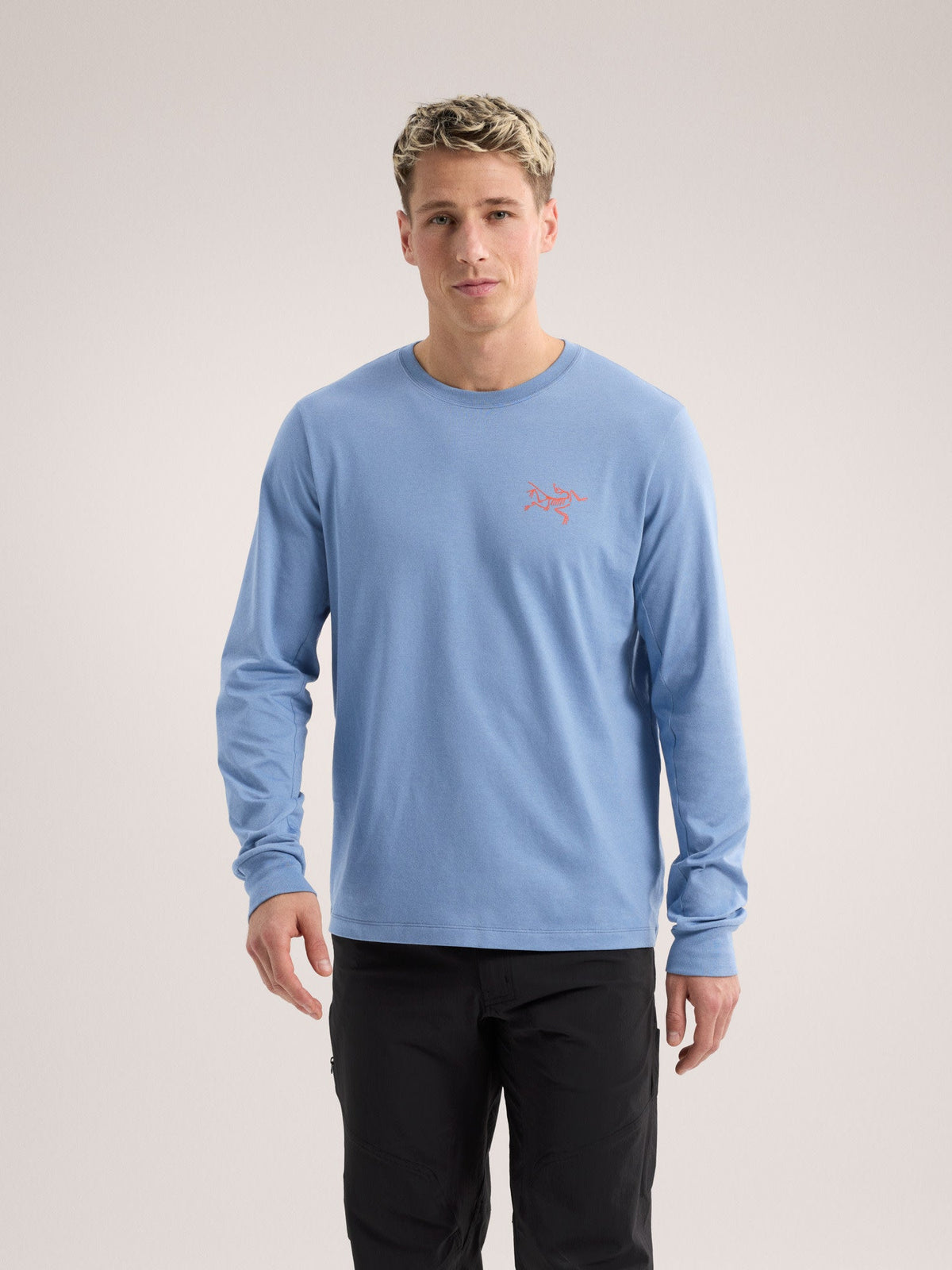 Arc'Multi Bird Logo Shirt LS Men's