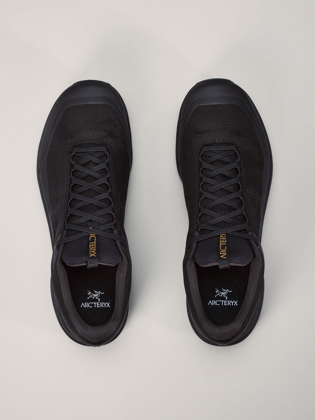 Aerios FL 2 GTX Shoe Men's